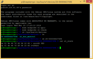 Raspberry Pi DS18B20 Temperature Sensor Tutorial - DS18B20 Raw Output