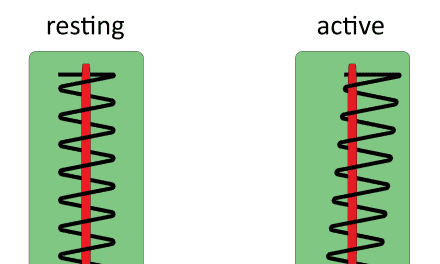 How to Setup Vibration Sensors on the Arduino